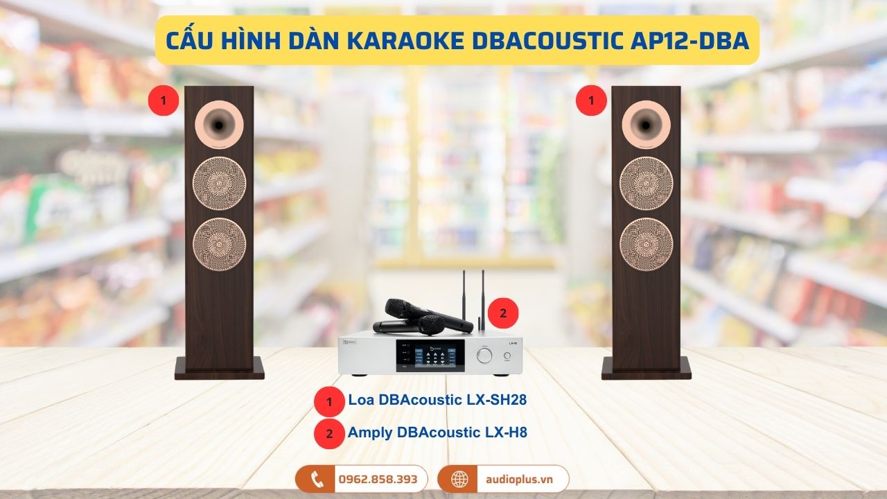 dàn karaoke DBAcoustic AP12-DBA