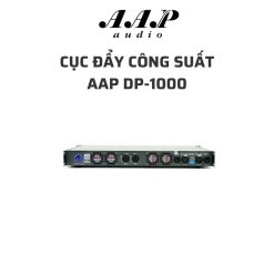Cục đẩy công suất AAP DP-1000