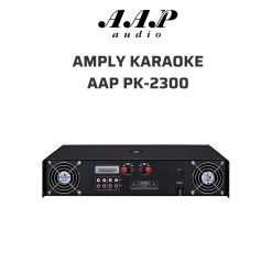 Amply karaoke AAP PK-2300
