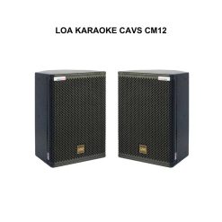 Loa karaoke CAVS CM12