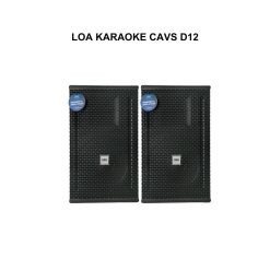 Loa karaoke CAVS D12
