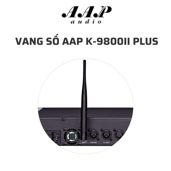 Vang số AAP K-9800II Plus