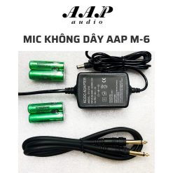 Mic không dây AAP M-6