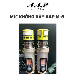 Mic không dây AAP M-6