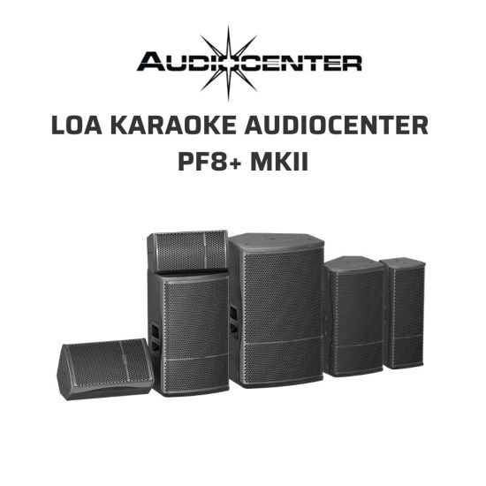AudioCenter PF10MKII Loa karaoke 03 1