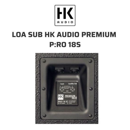 HK Audio Premium P ro 18S Loa sub 05