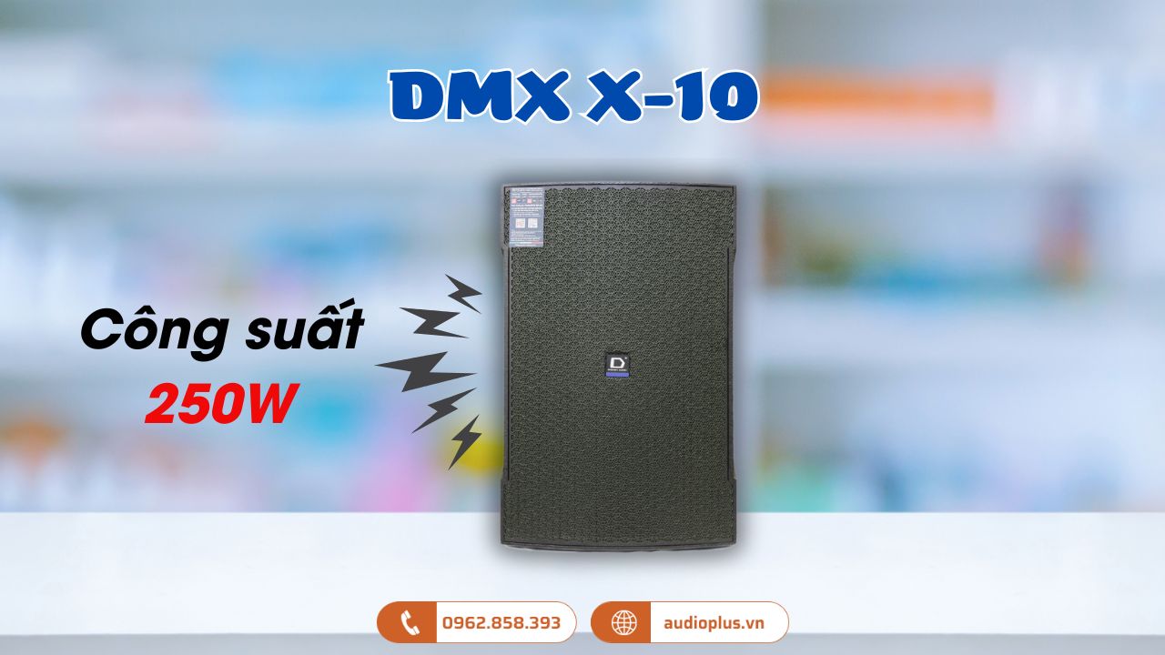 Loa karaoke DMX X-10