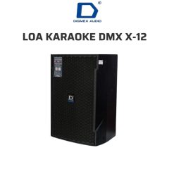 Loa karaoke DMX X-12 (loa full, 2 đường tiếng, bass 30cm, 500W)