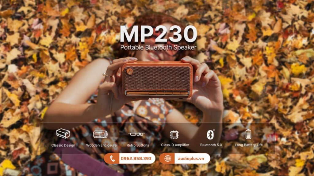 Cách chọn mua loa bluetooth theo thương hiệu hoặc hãng