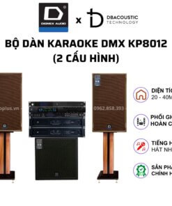 Dàn karaoke DMX KP-8012 (2 cấu hình, loa từ NEO, sub hơi 40, nhạc tuyệt đỉnh, hát cực hay)