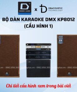 Alternative view of Dàn karaoke DMX KP-8012 (2 cấu hình, loa từ NEO, sub hơi 40, nhạc tuyệt đỉnh, hát cực hay)